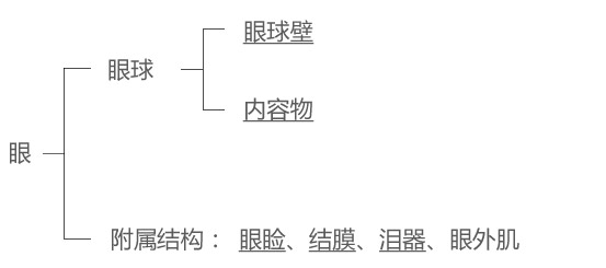 来自 一,眼的构造百度 眼是由眼球及眼睑,结膜等附属结构组成的.